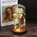 Rosa Love Led - Rosa Encantada na Cúpula de Vidro